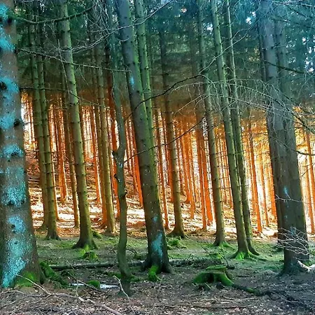 Haus Bergblick Olsberg