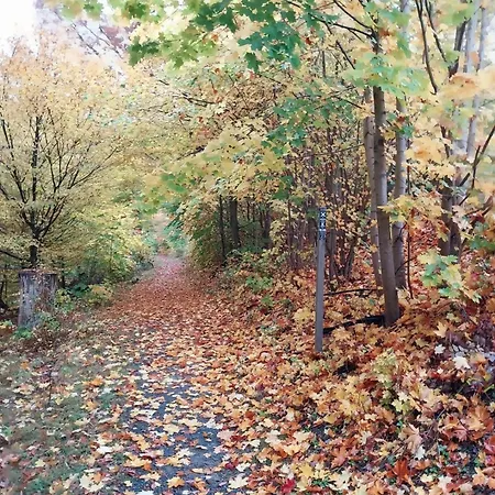 Apartamento Haus Bergblick