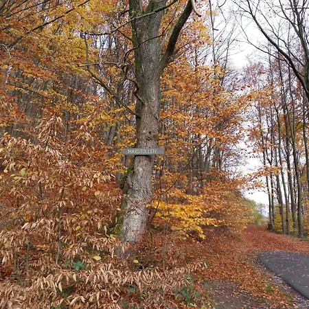 Haus Bergblick Apartment
