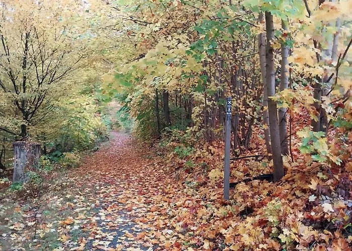 Apartment Haus Bergblick